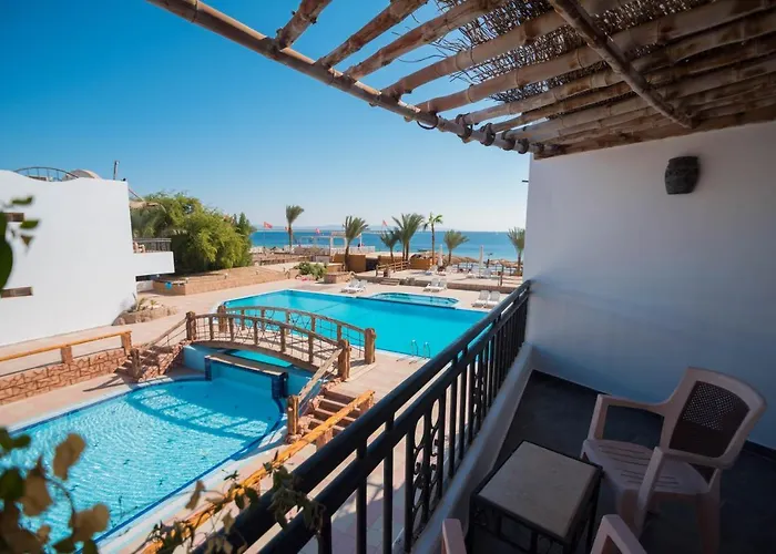 Panda Dahab