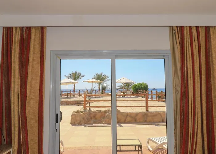 Panda Dahab