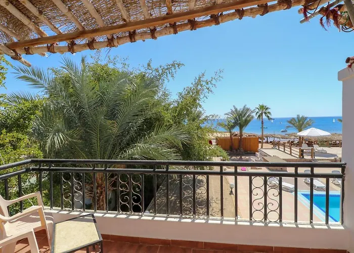 Panda Dahab
