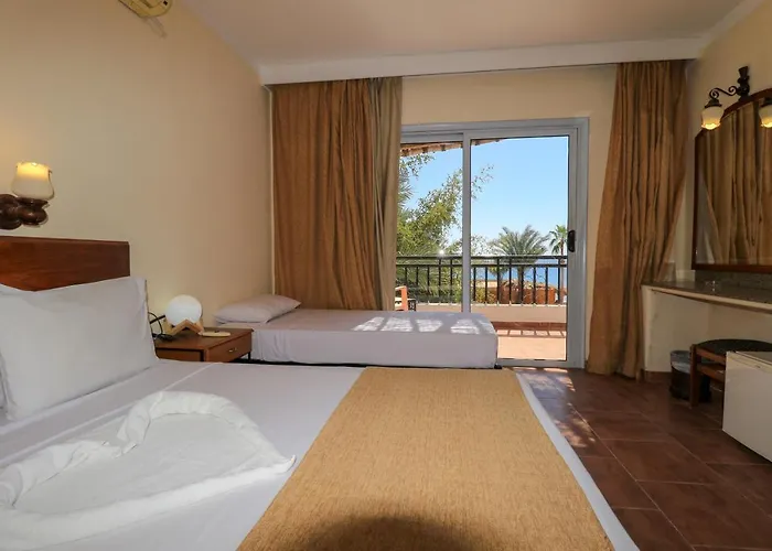 Panda 3* Dahab