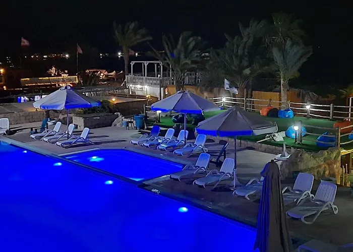 Panda Hotel 3*